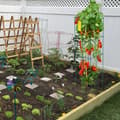 Miniatyrbillede 8 af 9: Tomatbure i sæt af 10, mål: 30 x 30 x 117 cm. Grønne PVC-belagte støttestrukturer til klatrende grøntsager og blomster.