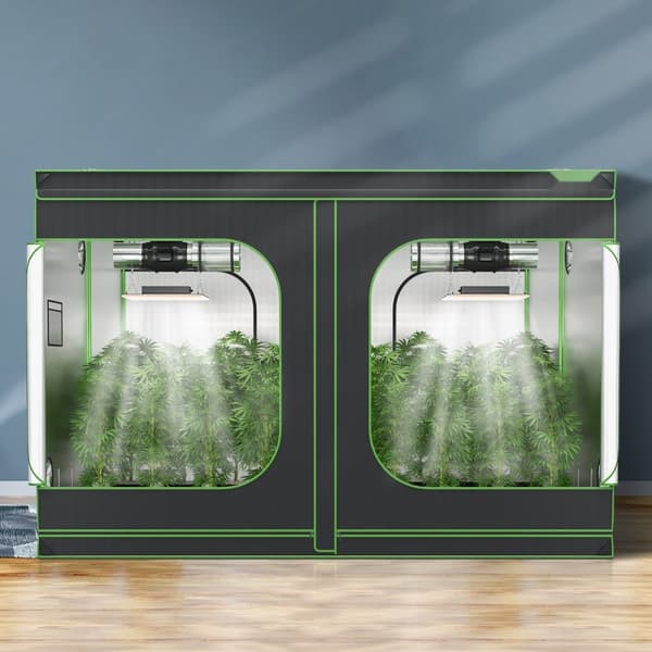 10x10 hydroponisk voksetelt, 120'' x 120'' x 80'', højreflekterende 600D Mylar med vindue, værktøjstaske og gulvbakke til indendørs planter.