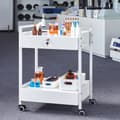 Pikkukuva 8 / 9: Kaksikerroksinen ruostumattomasta teräksestä valmistettu laboratoriokärry, pyörivä, valkoinen, kääntyvillä pyörillä.