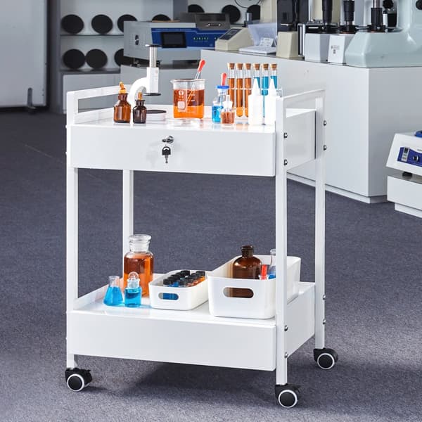Kaksikerroksinen ruostumattomasta teräksestä valmistettu laboratoriokärry, pyörivä, valkoinen, kääntyvillä pyörillä.