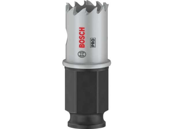 Bosch Home and Garden 2608594439 2608594439 Stiksav 19 mm 1 stk