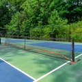 Miniatyrbillede 8 af 9: Pickleball-netsæt, 22FT, bærbart system med taske, bolde og padler. Vejrbestandig metalramme og holdbart PE-net til havebrug.