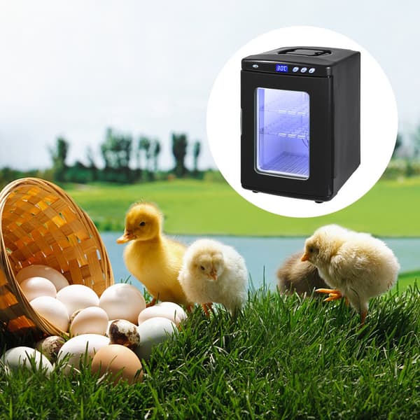 Brutapparat Reptilieneier Inkubator 25L Labor Kylning Värme 5-60℃ 220V för Bruteier Svart