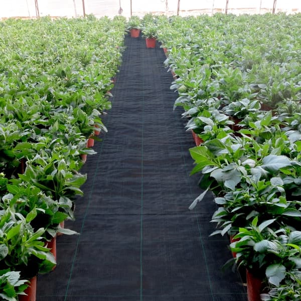6,5FTx300FT Premium ukrudtsbarrierestof, kraftigt 3,2OZ, høj permeabilitet - ideelt til blomsterbede og geotekstiler. Polyethylenbunddække.