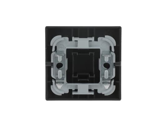 Busch-Jaeger 2520 KI-81, Antracit, Termoplast, Skruvlös, Busch-Jaeger, Glansigt, IP20