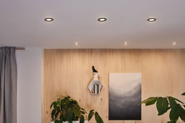 Paulmann Nova Plus, Smartlyspunkt, ZigBee, Sort, LED, Aluminium, Zink, Varm hvit