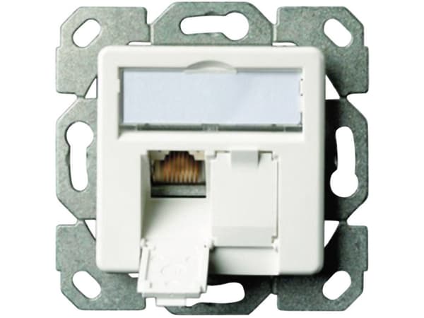 Telegärtner AMJ45 - Strömuttag - CAT 6e - RJ-45 X 2 - alpine white
