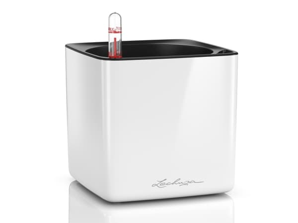 LECHUZA CUBE, Planteringskruka, Fristående, Polypropylen (PP), Vit, Torg, inomhus