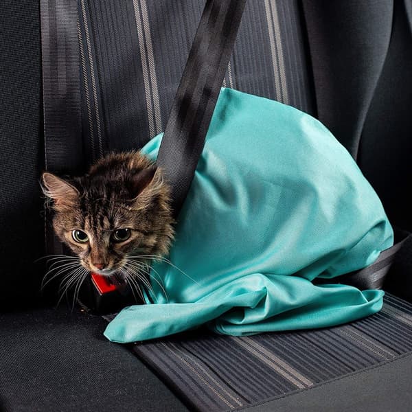 Väska för att bära hund, katt/bärare - blå