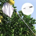 Miniatyrbillede 2 af 6: Teleskopisk frugtplukker med 4 m klinge