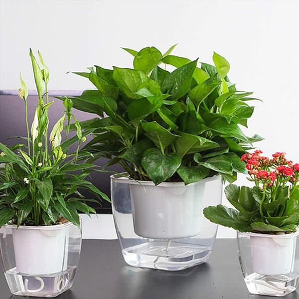 Selvvandende urtepotte/potte til blomster og planter - lille