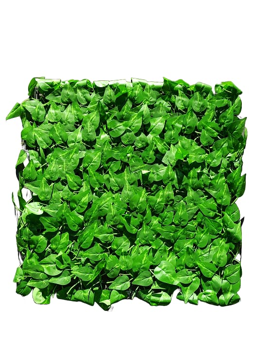 DEKORATIVT PANEL 50X50 ROSEBLADE