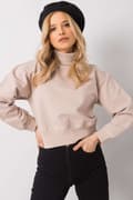 Miniatyrbild 3 av 9: Sweatshirt model 161485 BFG