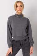 Miniatyrbild 5 av 9: Sweatshirt model 161485 BFG