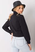 Miniatyrbild 9 av 9: Sweatshirt model 161485 BFG