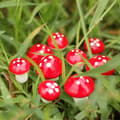 Miniatyrbild 2 av 6: Juldekoration Minisvampar