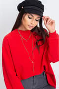 Miniatyrbild 1 av 11: Sweatshirt model 169765 BFG