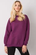 Miniatyrbild 5 av 11: Sweatshirt model 161434 BFG