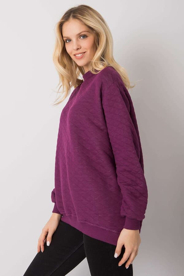 Sweatshirt model 161434 BFG
