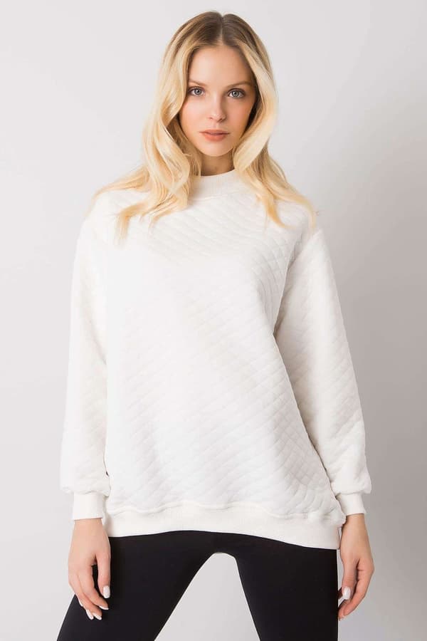 Sweatshirt model 161434 BFG
