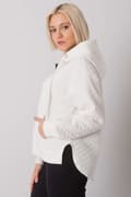 Miniatyrbild 11 av 11: Sweatshirt model 161348 BFG