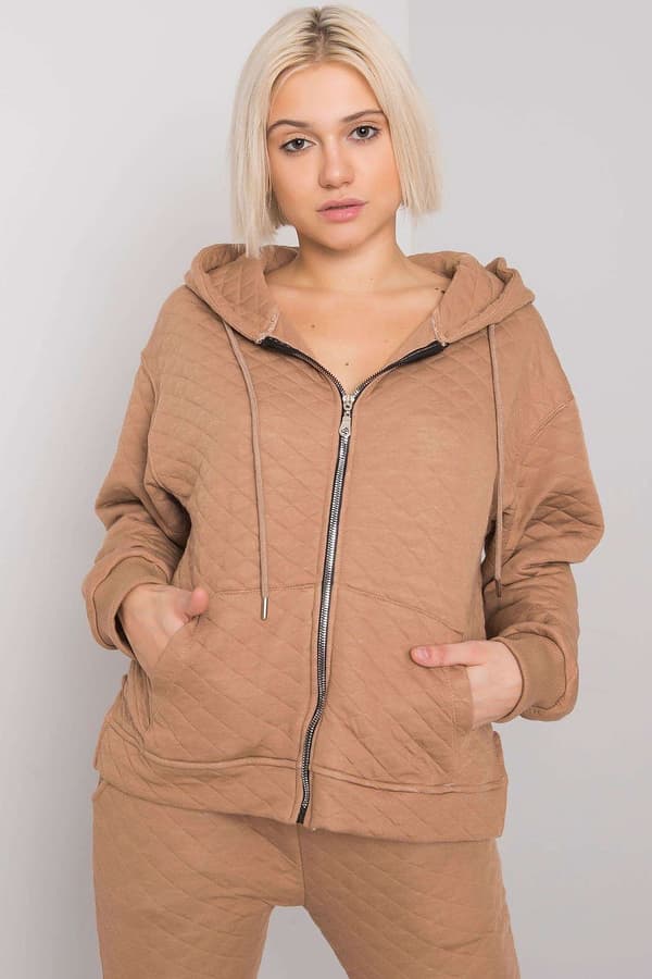 Sweatshirt model 161348 BFG brown L/XL