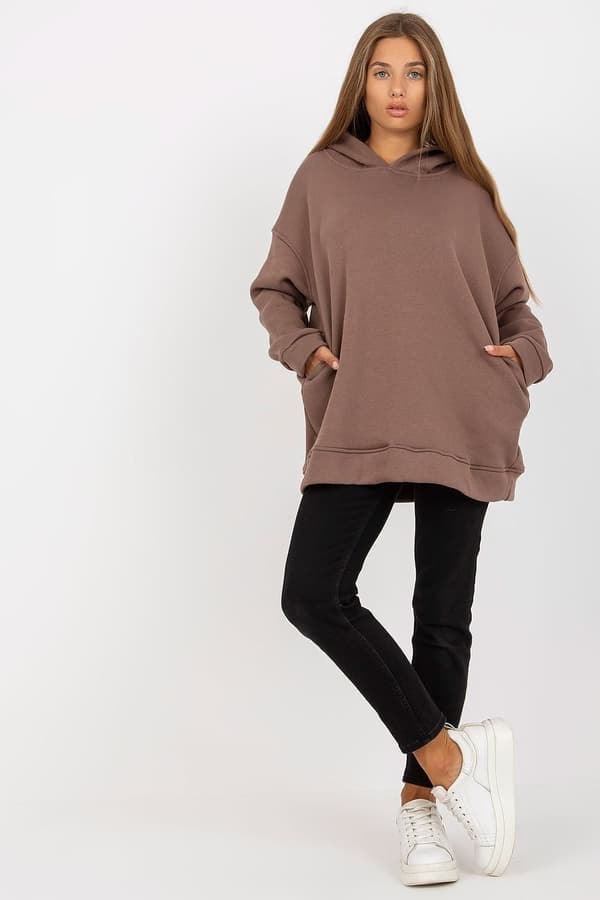 Sweatshirt model 169732 BFG brown M