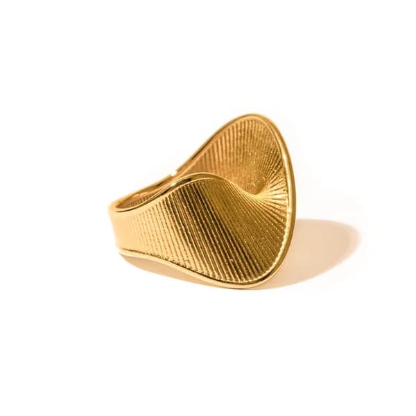 Ring Stainless Steel