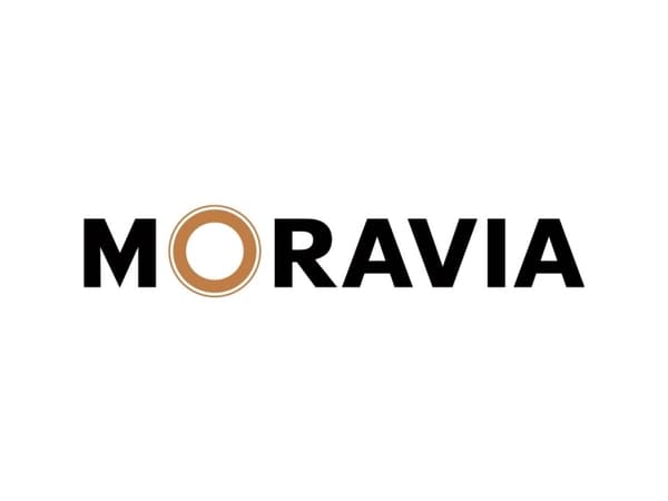Moravia 422.23.691 Vinkel-beskyttelsesprofil Sort, Gul (L x B x H) 1000 x 40 x 40 mm