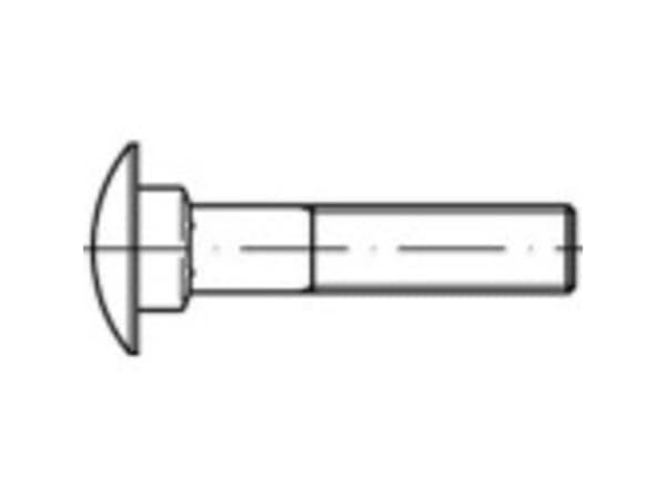 TOOLCRAFT TO-9985914 Runde, flade skruer M16 50 mm Firkant DIN 603 Rustfrit stål A4 10 stk