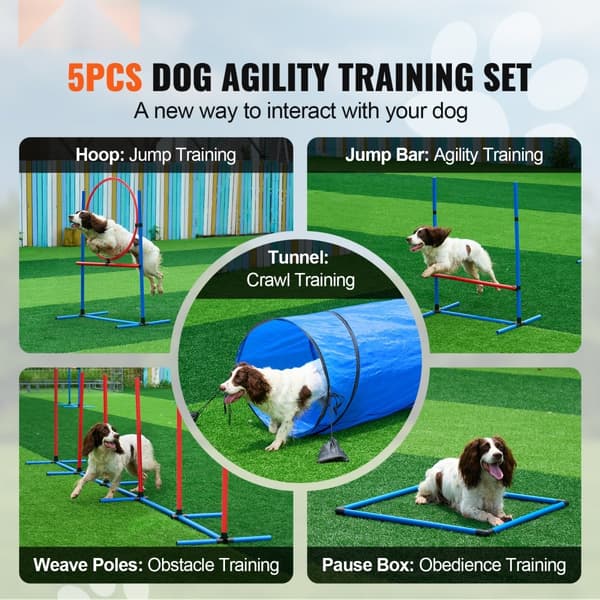 Hund Agility Träningsutrustning 5 Delar Set med Hinder, Tunnel, Hopp Ring