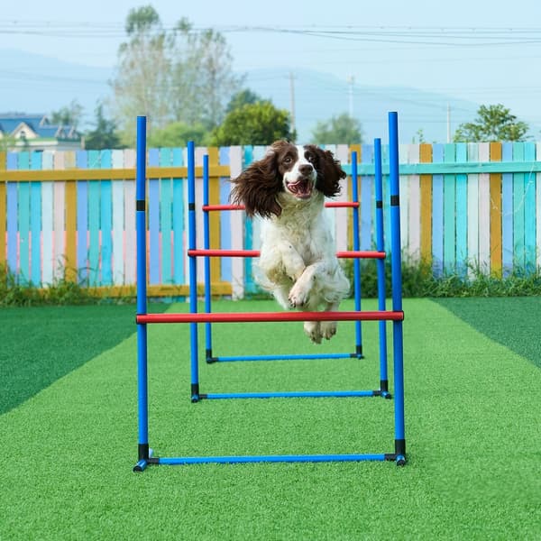 Hunde Agility Træningsudstyr Sæt 4 Stk. Hække og Hoppering Forhindringer, Holdbart og Justerbart
