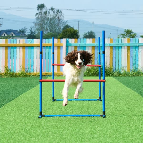 Koiran Agility Harjoitusvälineet 7-osainen Setti, Päivitys Esteet 2 Tunnelirenkaalla