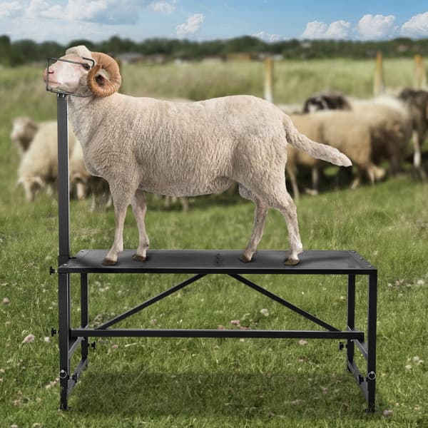 Viltstativ Trimställ 21"-33" Höjd 47x23 cm, Svart Bordsskiva för Lantbruk