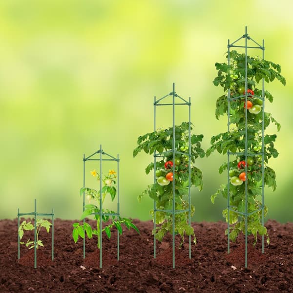 Tomatplante-støttebur, 4-pak, 63", haveudstyr, robust støtte, plantevækst
