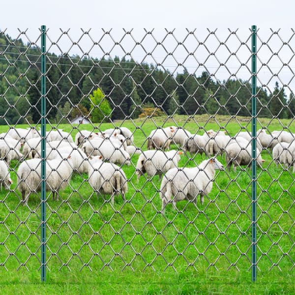 6 fods hegnspæl 6-pak T-stolpe, robust metal, grøn, heavy duty hegning