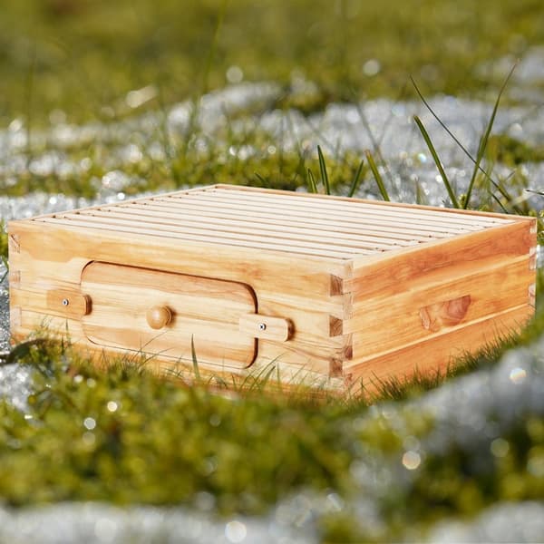 Langstroth Medium Biavl Kittet, 10 Rammer, Akryl Biavlsvinduer, Holdbar Konstruktion, Let at Montere