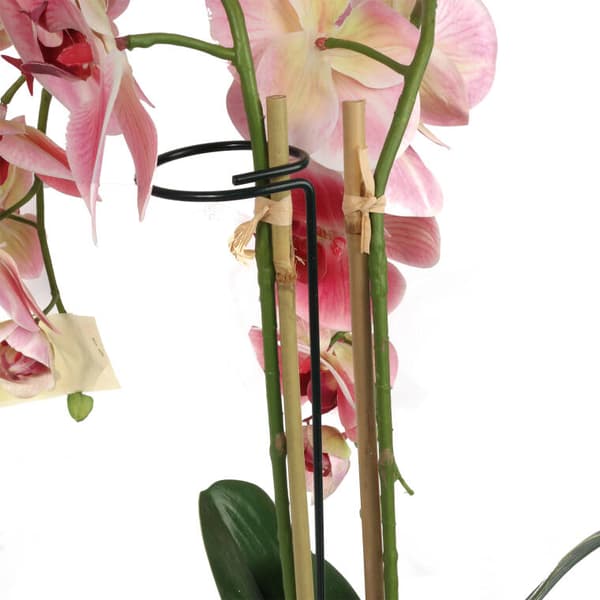 STABILISATOR FÖR VÄXTER 30CM - STÖD FÖR BLOMMOR INOMHUS OCH UTOMHUS