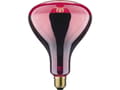 Miniatyrbilde 3 av 4: Paulmann 20126, 250 W, E27, 5000 t, 110 lm, 100°, IP20