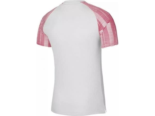 Nike Dri-Fit Academy SS M T-paita DH8031-100