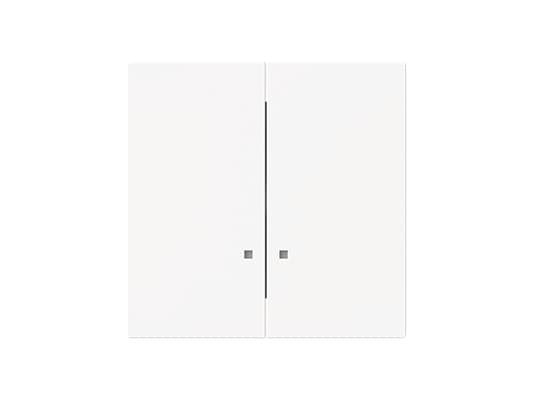 BUSCH JAEGER Keinu 1785 K-44M, 2 keinupuoliskoa (2CKA001751A3306)