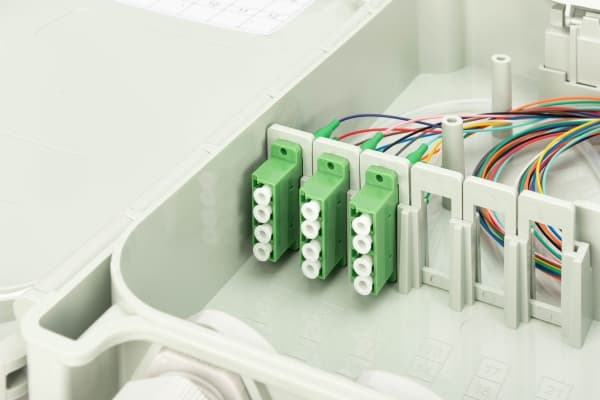 DIGITUS - Fiberoptikdistribueringsbox - OS2, monterad - väggmontering - inomhus, utomhus - grå, RAL 7035 - 12 portar
