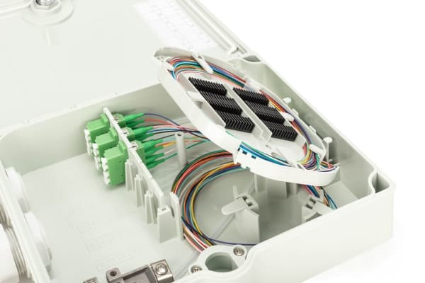 DIGITUS - Fiberoptikdistribueringsbox - OS2, monterad - väggmontering - inomhus, utomhus - grå, RAL 7035 - 12 portar