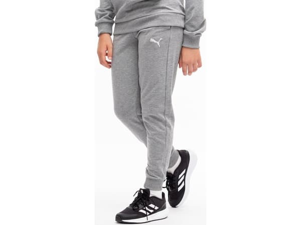 Puma Barnebukser Puma Team Goal Grå 658601 33 152cm