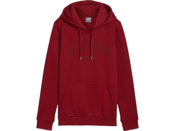 Puma Damtröja Puma Ess Logo LAB Hoodie FL rödbrun 682987 13 M