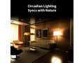 Miniatyrbild 5 av 5: Aqara LED Bulb T2 (CCT, E27)