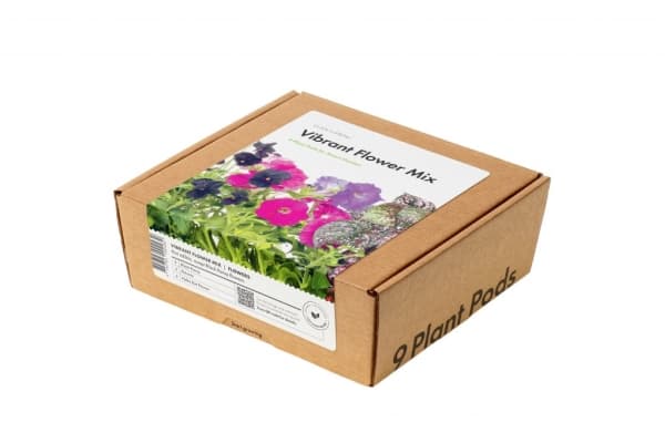 Click Grow Click and Grow Smart Garden Refill 9 pakuočių Vibrant Flower Mix