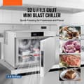 Miniatyrbillede 2 af 11: 32L kommerciel blæstfryser, 4 bakker, hurtig nedkøling, perfekt til skaldyr og isdessert.