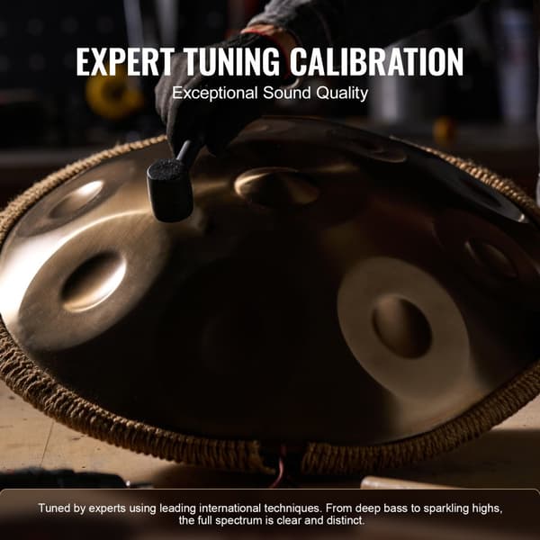 Handpan Trumma 22 i 12 toner D-moll, hög kvalitet, lätt att spela, unik design, professionell ljudupplevelse, handtruminstrument
