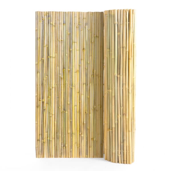 Naturligt Rullet Bambus Hegn, 6 ft H x 8 ft L x 0,75 in D, Holdbart, Økologisk, Ideelt til Have og Indretning.